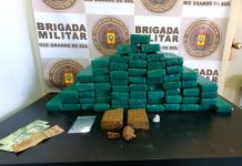 Força Tática prende traficante com 61 tabletes de maconha em Passo Fundo